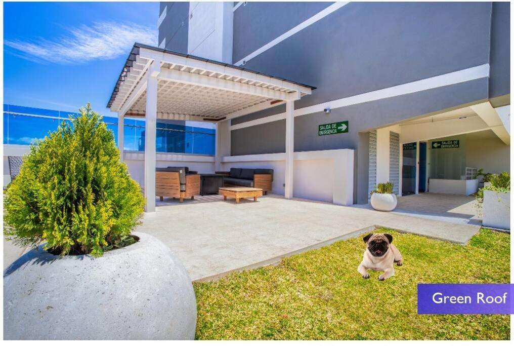 1102 Torre Los Yoses Hermoso Apartamento En Barrio Escalante Sin Parqueo San José Esterno foto